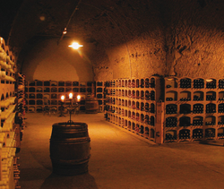 crayeres-cave_edited